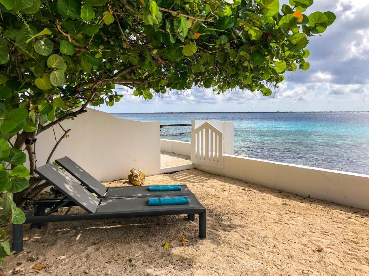 One Ocean Boutique Apartments & Suites Bonaire Kralendijk Exterior foto